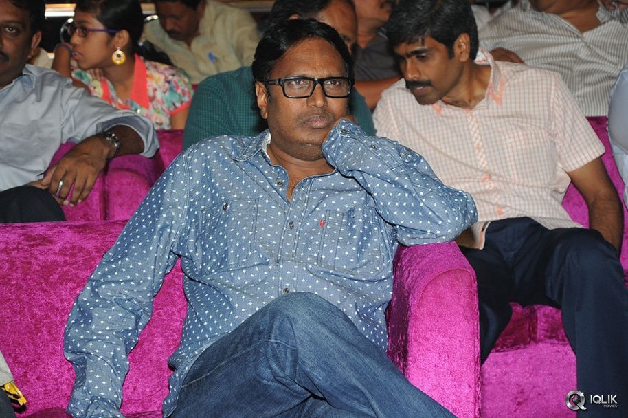 Hora-Hori-Movie-Audio-Launch